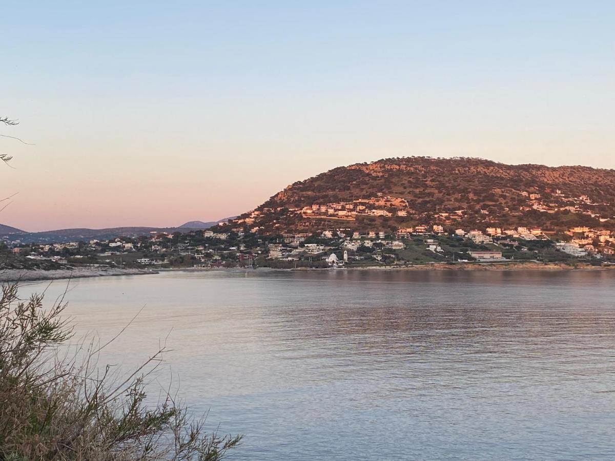 Seascape Luxury Villas Agia Marina  Exteriör bild
